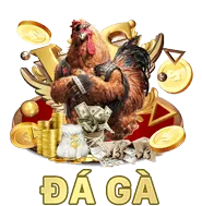 Ứng dụng di động 56win